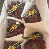 ليبيا جنة الفواكه