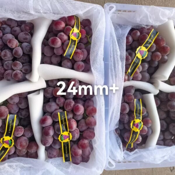 عنب صيني رد جلوب